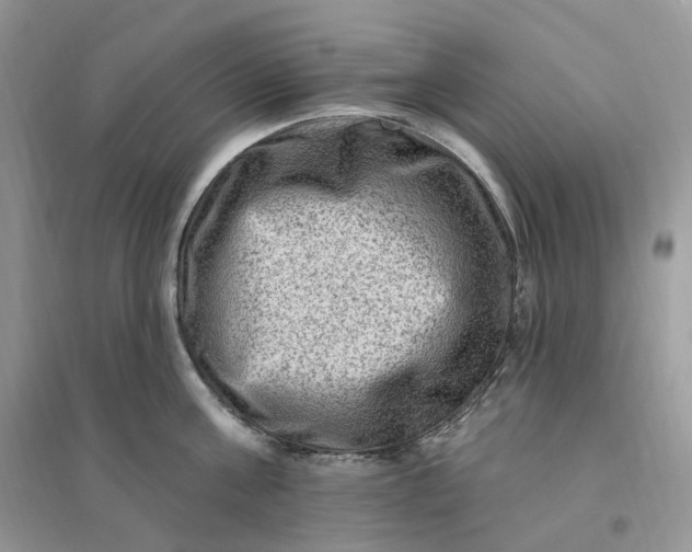 X0000096190811200802011405