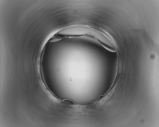 X0000096190812200802011405