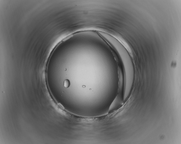 X0000096190813200802011405