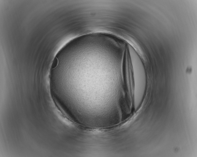 X0000096190814200802011405