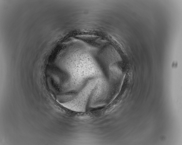 X0000096190817200802011405