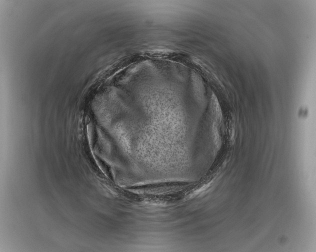 X0000096190818200802011405