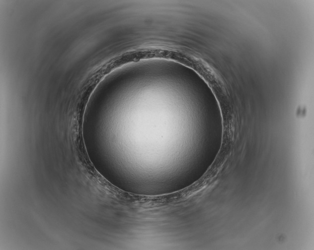 X0000096190821200802011405