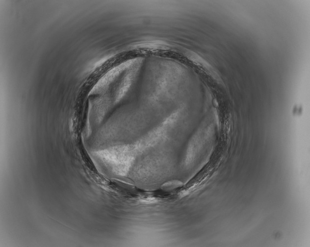 X0000096190822200802011405