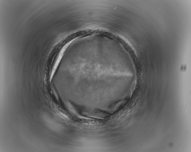 X0000096190823200802011405