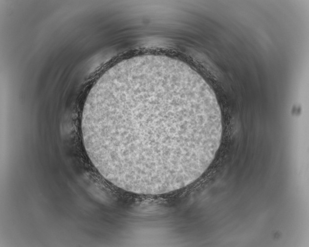 X0000096190824200802011405