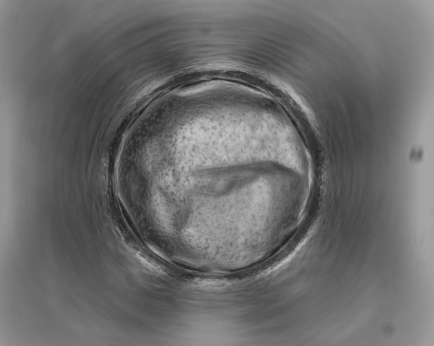 X0000096190825200802011405