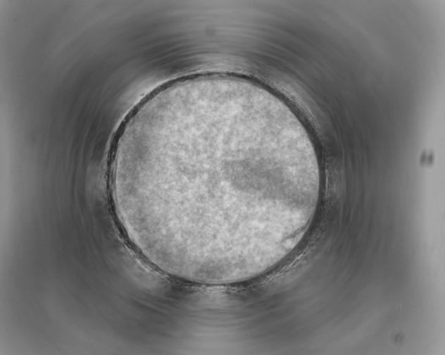 X0000096190828200802011405