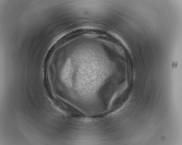 X0000096190829200802011405