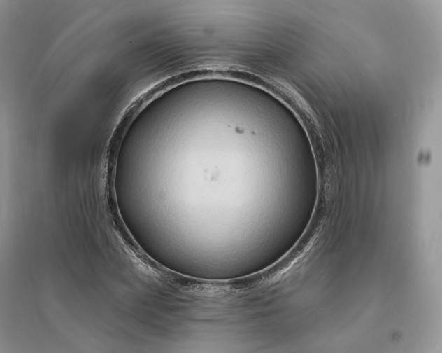 X0000096190831200802011405