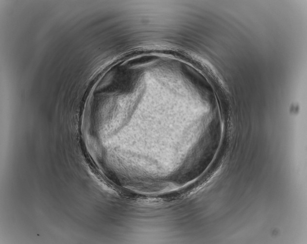 X0000096190833200802011405