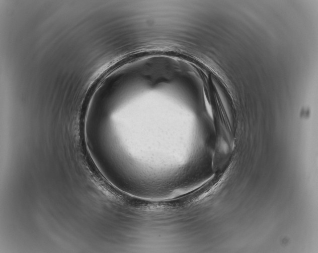 X0000096190834200802011405