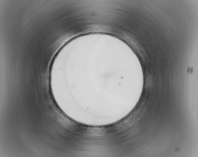 X0000096190836200802011405