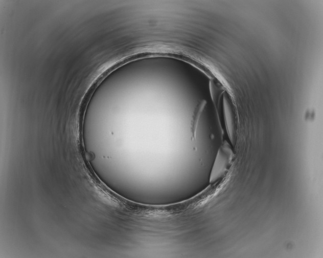 X0000096190837200802011405