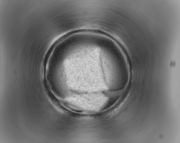 X0000096190838200802011405