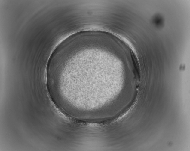 X0000096190839200802011405