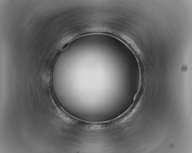 X0000096190841200802011405