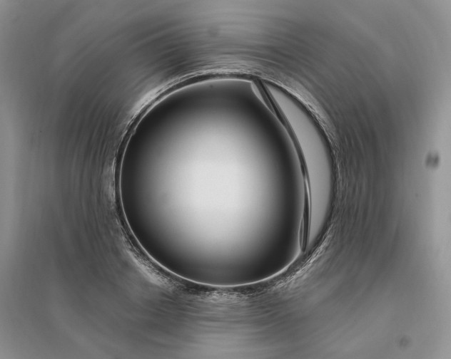 X0000096190842200802011405