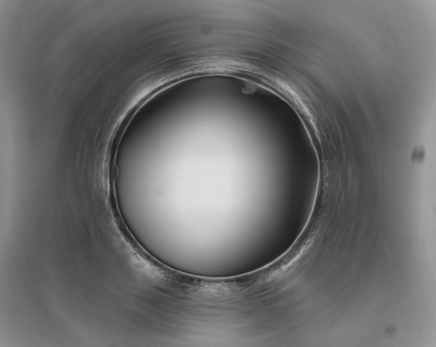 X0000096190843200802011405