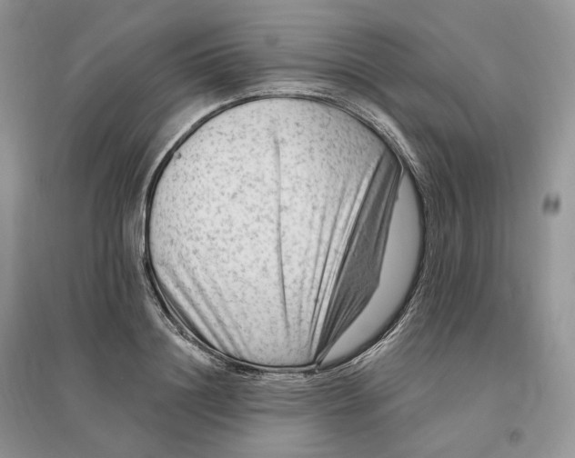 X0000096190844200802011405