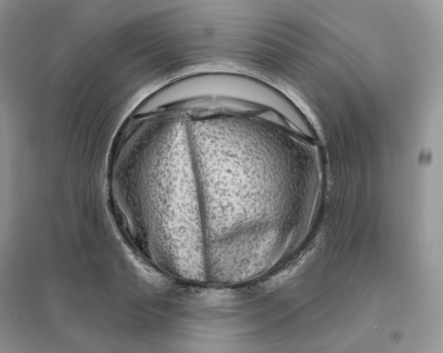 X0000096190845200802011405