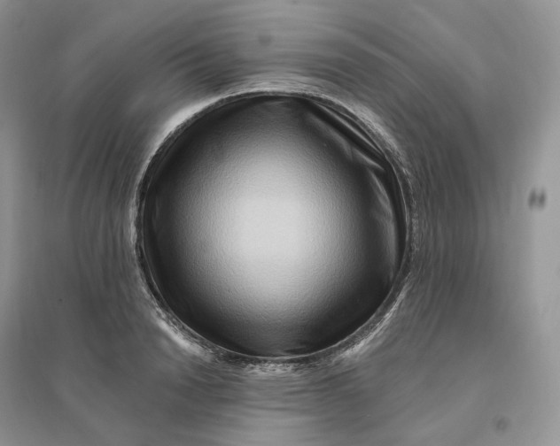 X0000096190846200802011405