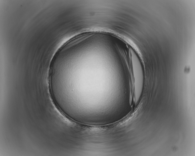 X0000096190847200802011405