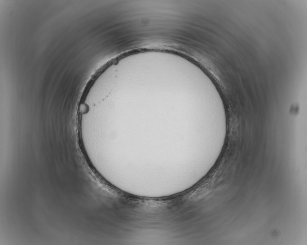 X0000096190848200802011405