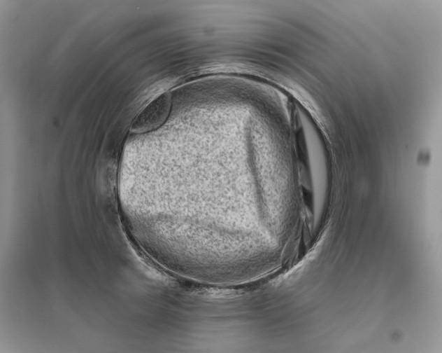 X0000096190849200802011405