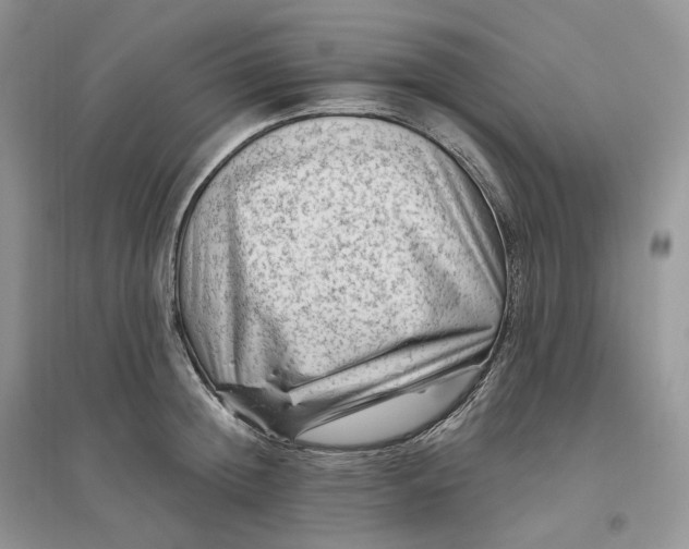 X0000096190852200802011405