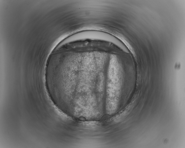 X0000096190853200802011405