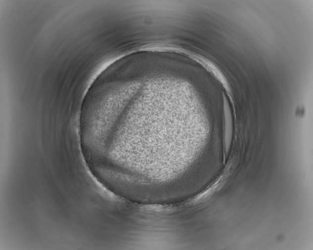 X0000096190855200802011405