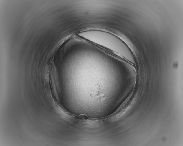 X0000096190857200802011405