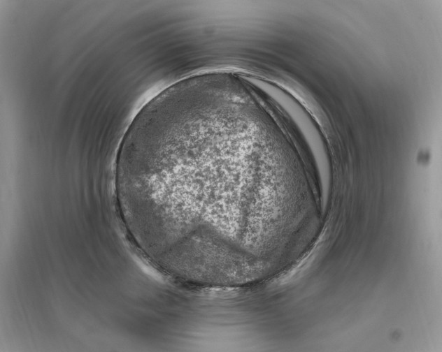 X0000096190858200802011405