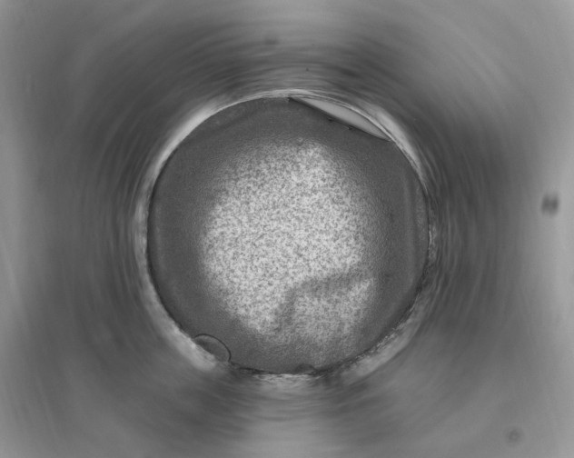 X0000096190859200802011405