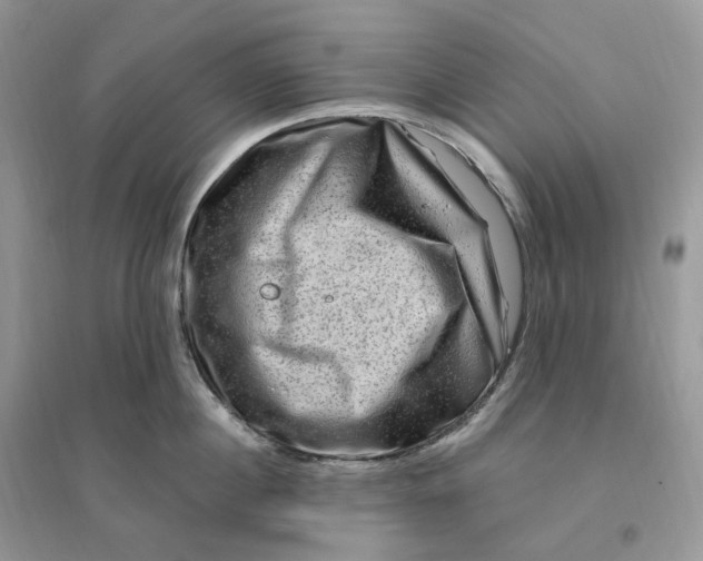 X0000096190860200802011405