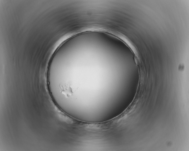 X0000096190861200802011405