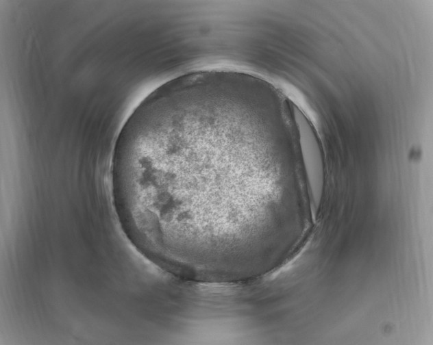 X0000096190863200802011405