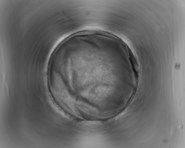 X0000096190864200802011405