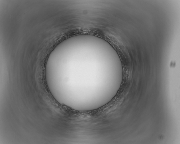 X0000096190865200802011405