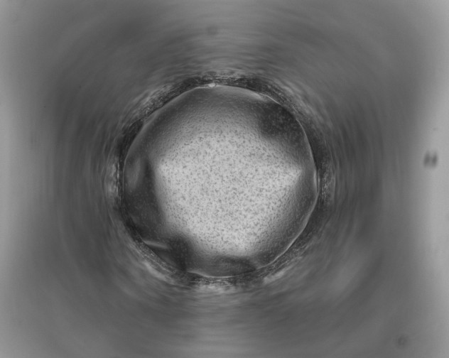 X0000096190866200802011405