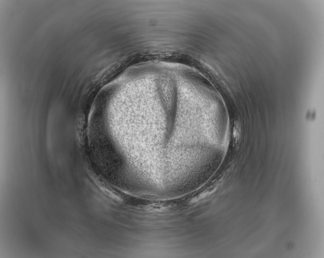 X0000096190867200802011405