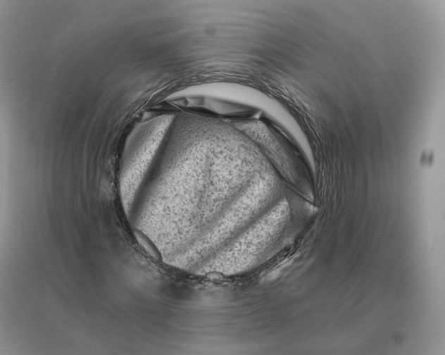 X0000096190868200802011405