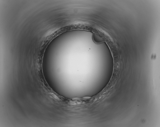 X0000096190869200802011405