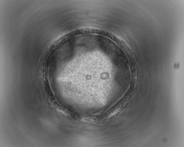 X0000096190870200802011405