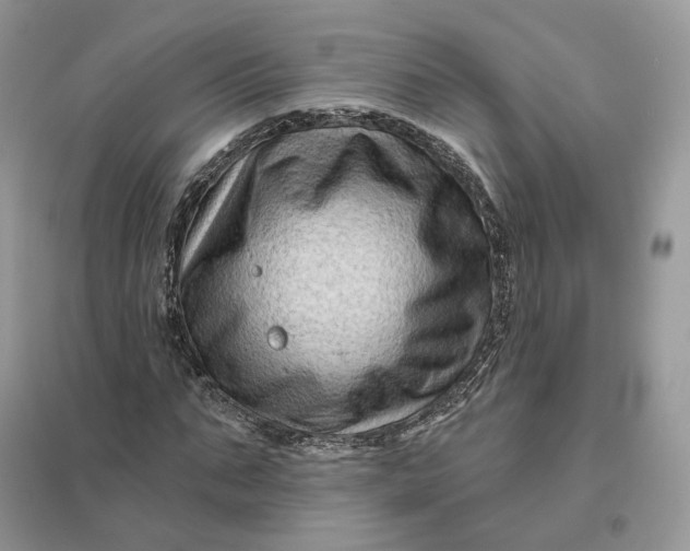 X0000096190871200802011405