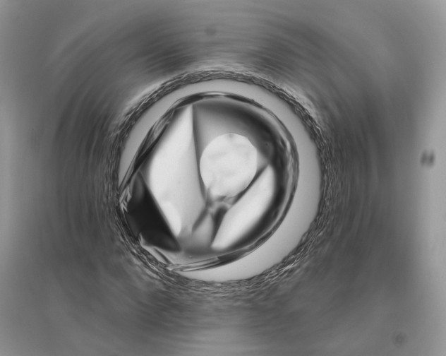 X0000096190872200802011405