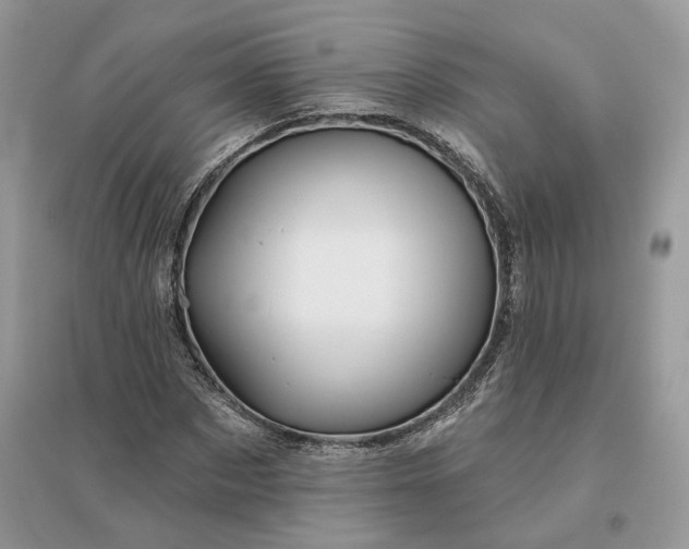 X0000096190873200802011405