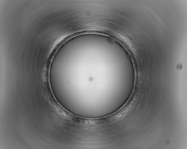 X0000096190875200802011405