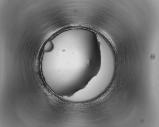 X0000096190876200802011405